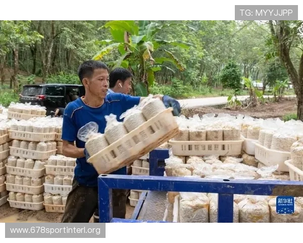 沙巴体育积极响应国家体育政策,助力全民健身运动深入推进